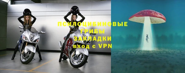 соль ск Алексеевка