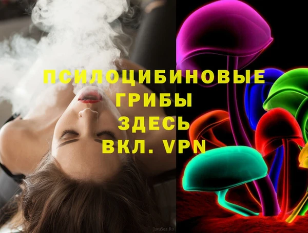 соль ск Алексеевка