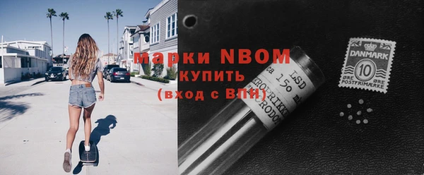 шишки Осташков