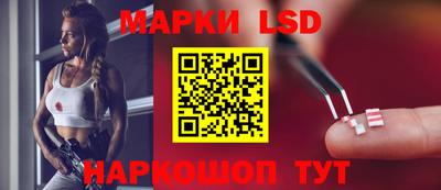индика Шелехов