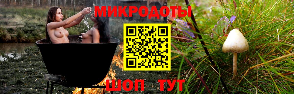 Псилоцибиновые грибы GOLDEN TEACHER Североуральск