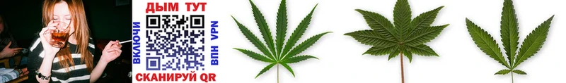 Каннабис THC 21%  Североуральск 